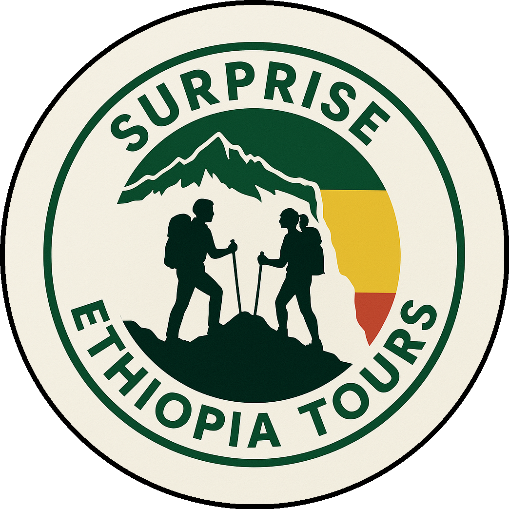 Surprise Ethiopia Tours Logo